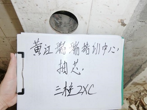 東莞市瑞瑞培訓(xùn)中心房屋安全鑒定項目 東莞市瑞瑞培訓(xùn)中心房屋安全鑒定項目